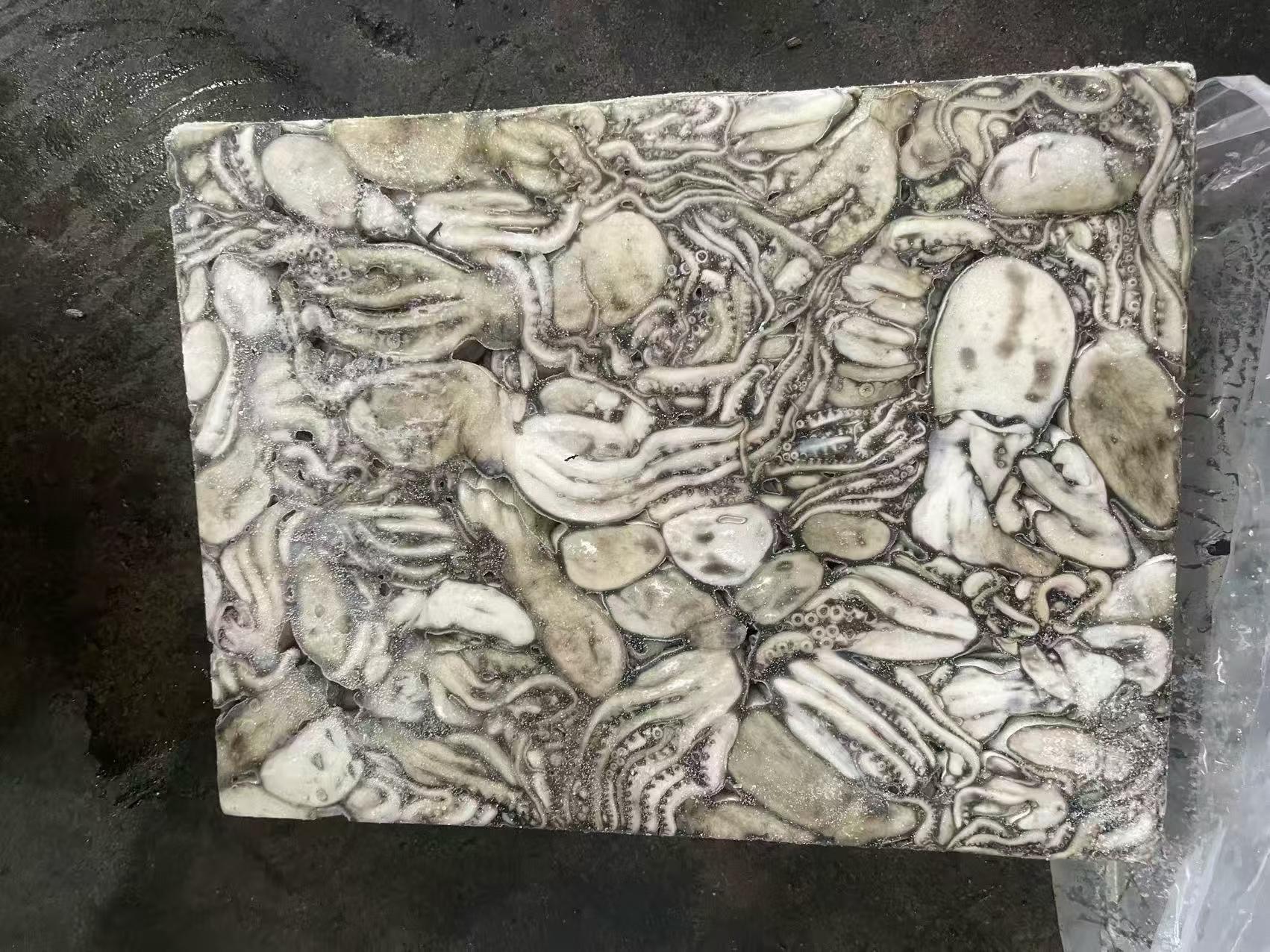 墨鱼