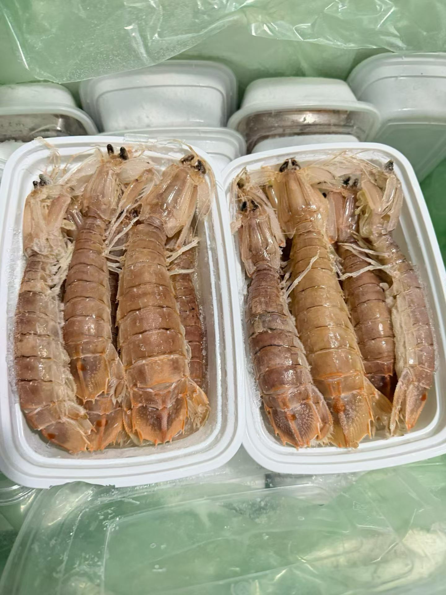 熟冻皮皮虾